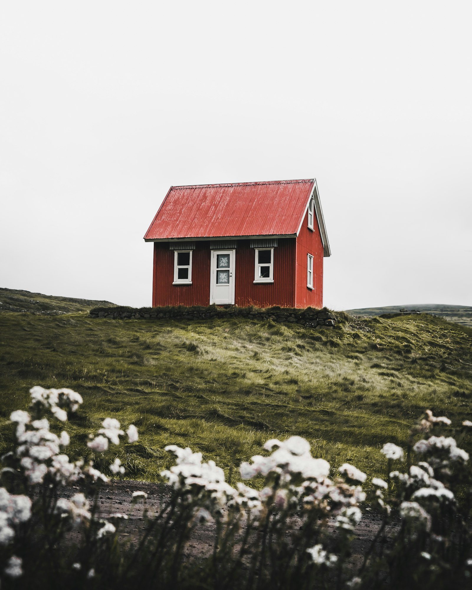 Metal Roofing